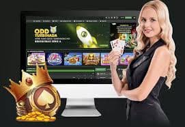 b44bet